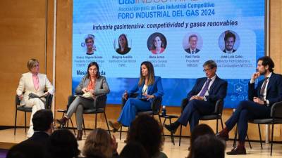 La mesa redonda sobre industria gasintensiva, competitividad y gases renovables.