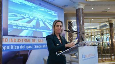 Verónica Rivière, presidenta de GasIndustrial.