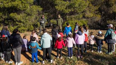 La empresa ha donado 100 pinos, que fueron plantados en el entorno del Polígono Mario Nebot durante una jornada en la que participaron los alumnos y alumnas del CEIP l’Albea de Vall d’Alba.