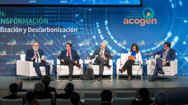 La cogeneración trabaja para que el marco de inversión de 1.200 MW en subastas sea una realidad desde 2025