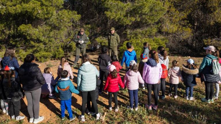 Argenta Cerámica celebra el Día del Árbol con la donación de 100 pinos a Vall d’Alba